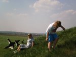 pic047