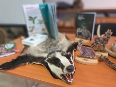 Proběhlo: Les na talíři aneb lesní pedagogika s paní Trojanovou