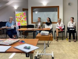 Zapojení do participativních workshopů