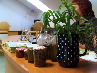 Proběhlo: Beseda s bylinkářkou Evou Huňkovou 14. 5. 2024