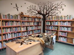 Les v knihovně