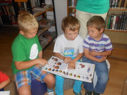 Broučci MŠ Holandská