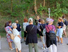 Proběhlo: Prázdniny pro seniory (19. 8. 2025)